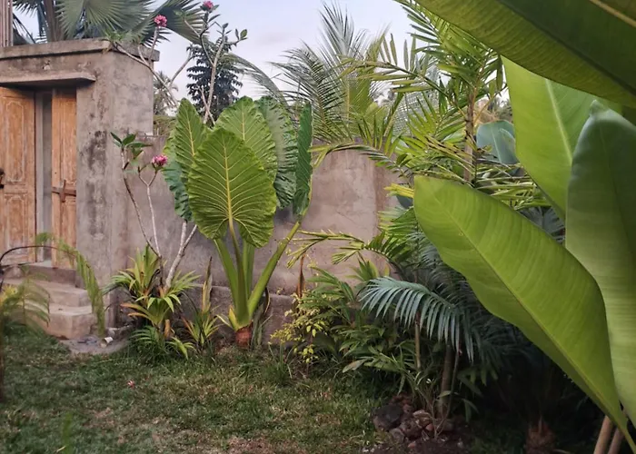 Alena Bed & Breakfast Ubud